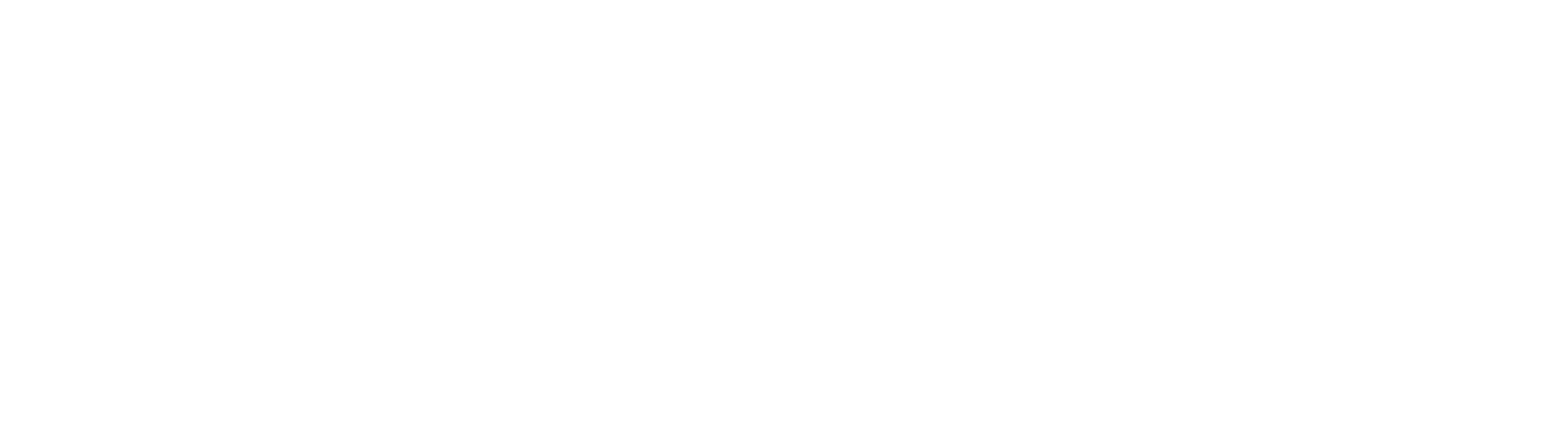 OCTIS